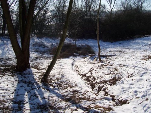 Studánka na Popovsku - 19.3.2005